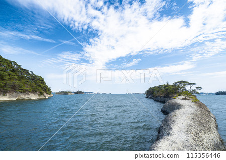 [Miyagi Prefecture] Matsushima, one of the Three Most Scenic Views of Japan, Horseback Scenery 115356446
