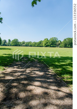 A spacious field and large trees under the bright sunlight at Osterley Park on the outskirts of London A spacious field and large trees under the bright sunlight at Osterley Park on the outskirts of London 115356552