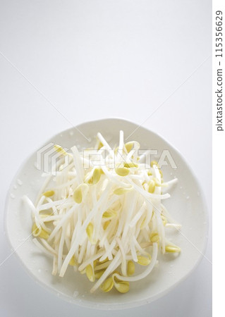 豆芽 115356629