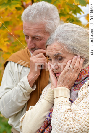 Portrait of sad senior couple in park Portrait of sad senior couple in park 115356690