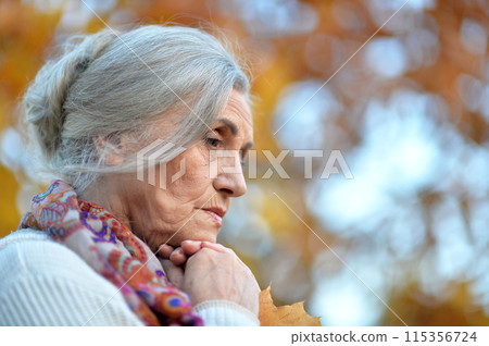 Portrait of beautiful sad senior woman on blurred autumn background Portrait of beautiful sad senior woman on blurred autumn background 115356724