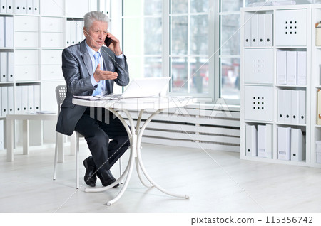 Senior businessman working with computer in office 115356742