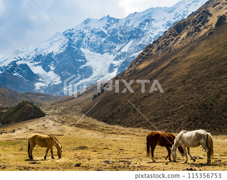Trail leading to Humantay lake with snow-capped Andes, Cusco region, Peru 115356753