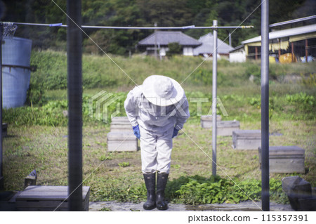 Image of a male beekeeper Image of a male beekeeper 115357391