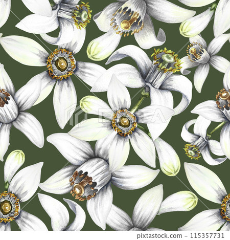 Seamless pattern with orange tree flowers. A hand-drawn watercolor illustration. On a green background. For textiles, wallpapers and backgrounds. For packaging paper and label, printing and decoration 115357731