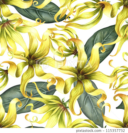 Seamless pattern with ylang-ylang flowers with leaves. A hand-drawn watercolor illustration. For textiles, wallpapers and backgrounds. For packaging paper and labels, printing and decoration. 115357732
