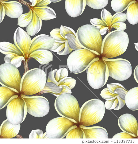 Seamless pattern with plumeria and frangipani flowers. Hand-made watercolor illustration. On a dark gray background. For textiles, wallpapers and backgrounds. For packaging paper and labels, printing 115357733