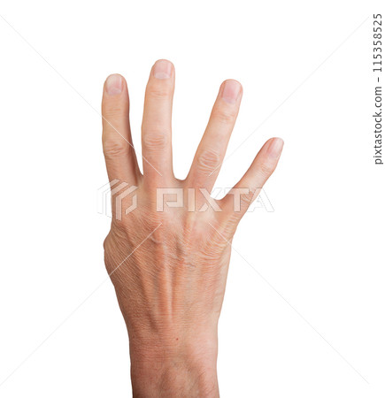 Hand showing four fingers, isolated on white background. Gesture indicating the number four, ideal 115358525