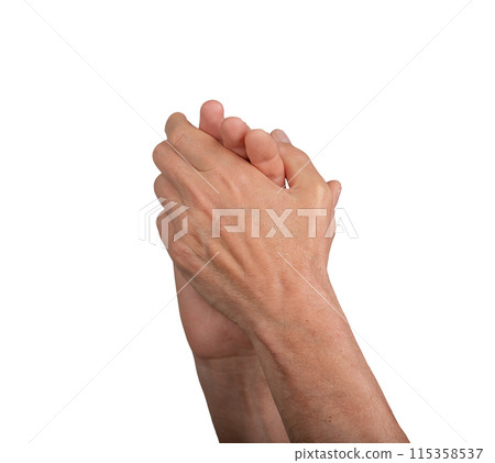 Male hands clapping, isolated on a white background. Applauding and showing recognition, perfect for 115358537