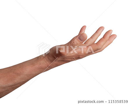 Open palm hand holding or giving something, isolated on white background. Gesture indicating 115358539