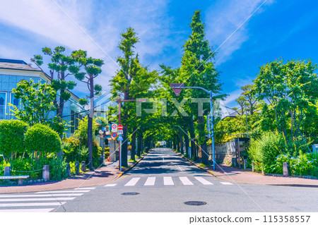 Tokyo cityscape in Japan in June. View of residential areas spreading out in front of the restored station building of Denenchofu Station (June 8th) 115358557