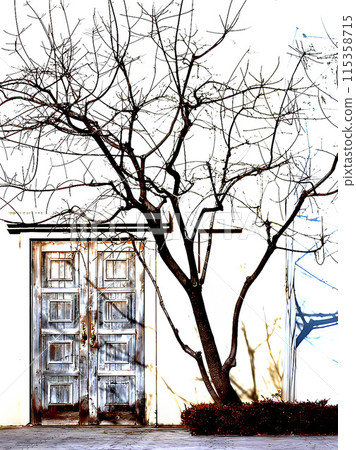 Ivy leaves on winter tree branches and a snowy day 115358715