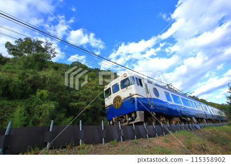 Tourist trains running through nature 115358902