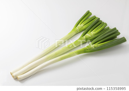 白洋蔥 長洋蔥 115358995