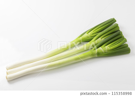 白洋蔥 長洋蔥 115358998