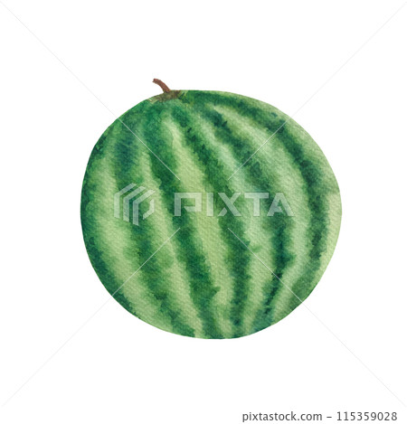 Watermelon round with dark green stripes. Watercolor illustration isolated on white background, hand drawn for food design. Great for packages, juice, smoothie, menu, organic food, ice cream, labels Watermelon round with dark green stripes. Watercolor illustration isolated on white background, hand drawn for food design. Great for packages, juice, smoothie, menu, organic food, ice cream, labels 115359028