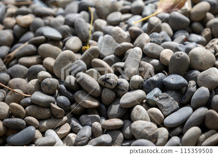 Osaka / The Five Great Power Stones in front of Goshogozen at Sumiyoshi Taisha Shrine (photographed on April 9, 2024) 115359508