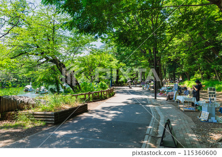 吉祥寺假日井之頭公園 115360600
