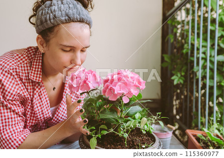 Young attractive woman caring for hydrangea in flowerpot on balcony 115360977