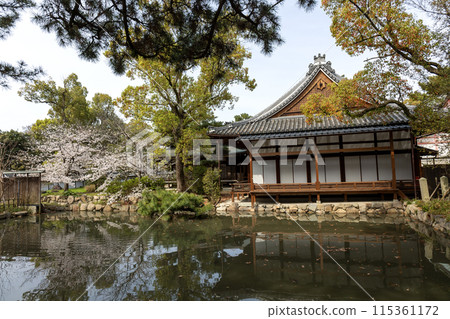 Osaka/Sumiyoshi Taisha Shrine's Saikan (photographed on April 9, 2024) Osaka/Sumiyoshi Taisha Shrine's Saikan (photographed on April 9, 2024) 115361172