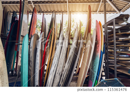 A variety of surfboards are neatly displayed on a stand 115361476