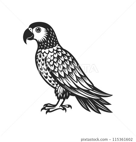 Tropical parrot bird. Black silhouette on a white background. Engraving, tattoo. Illustration Tropical parrot bird. Black silhouette on a white background. Engraving, tattoo. Illustration 115361602