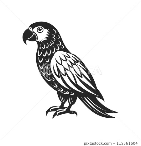 Tropical parrot bird. Black silhouette on a white background. Engraving, tattoo. Illustration 115361604