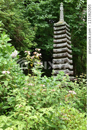 Iwafuneji Temple in the Rain: Thirteen-story Stone Pagoda [Important Cultural Property] 115362005