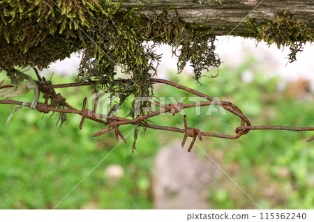 Old rusty barbed wire on the border. 115362240
