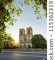 Notre Dame de Paris in early morning 115362319