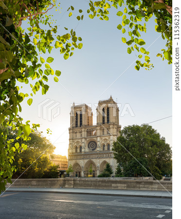 Notre Dame de Paris in early morning 115362319