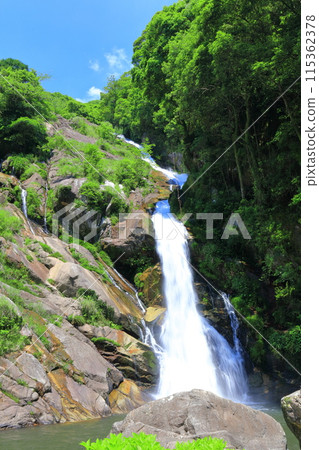 [Saga Prefecture] Mikaeri Falls with Fresh Greenery (Top 100 Waterfalls in Japan) 115362378