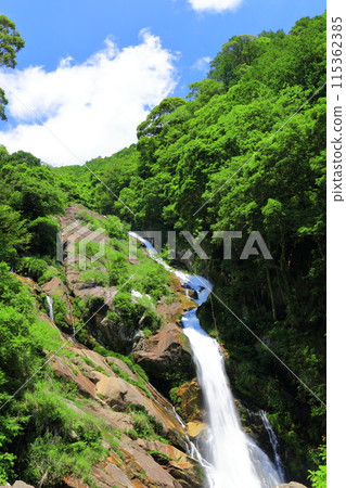 [Saga Prefecture] Mikaeri Falls with Fresh Greenery (Top 100 Waterfalls in Japan) 115362385