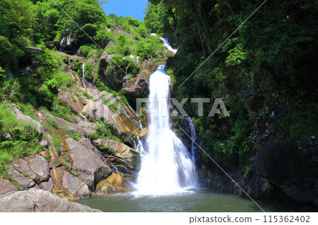[Saga Prefecture] Mikaeri Falls with Fresh Greenery (Top 100 Waterfalls in Japan) 115362402