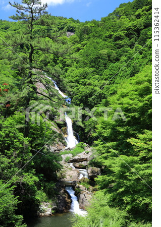 [佐賀縣]綠意盎然的御嘉里瀑布（日本瀑布百選） 115362414