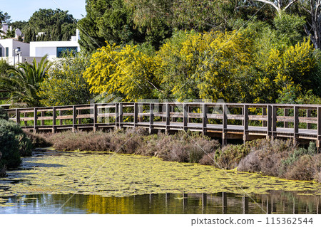 Landmark footbridge heading to famous Quinta do Lago beach, in Ria Formosa wetlands, Algarve. Portugal 115362544