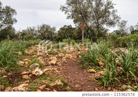 Hiking to the Rocha da Pena in Algarve region, Portugal, 115362578