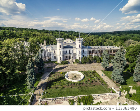 beautiful view on White Swan palace and yard in Sharivka park, Kharkiv region 115363490