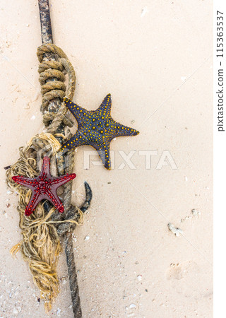 red and black starfish with knot and anchor on a shore 115363537