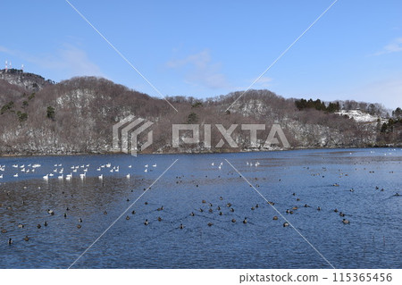 小山神池 / 下池拉姆薩爾公約註冊網站 115365456