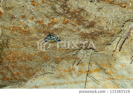 Wall pattern revealing old earth layers Wall pattern revealing old earth layers 115365529