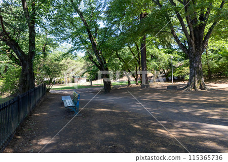 沼田城沼田公園 115365736