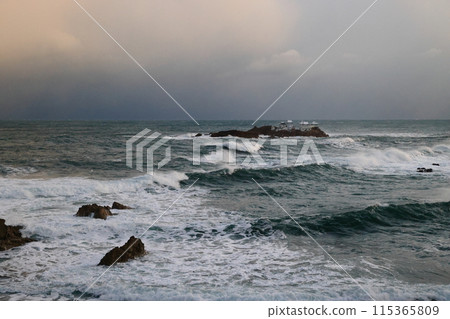 Nissan coast Nissan coast 115365809