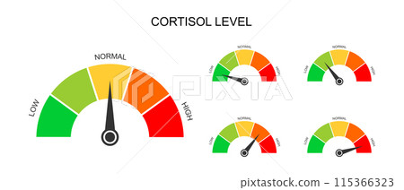 Set of cortisol meter gauges. Levels of body stress response hormone. Round charts with arrow from low to high isolated on white background. Vector flat illustration Set of cortisol meter gauges. Levels of body stress response hormone. Round charts with arrow from low to high isolated on white background. Vector flat illustration 115366323