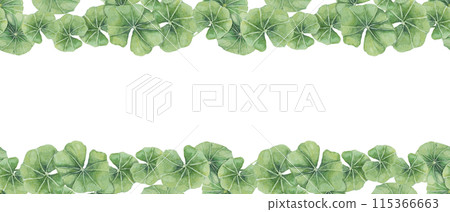 Green centella asiatica seamless border, vibrant foliage ribbon clipart. Watercolor gotu kola banner botanical design for beauty products, cosmetics, herbal medicine, ayurvedic food supplements 115366663