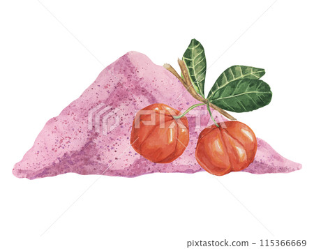 Acerola red cherries and pink powder exotic tropical fruits clipart with leaves. Smoothie wholesome ingredient watercolor illustration. Superfood vitamin C for print, packaging, label, food supplement 115366669