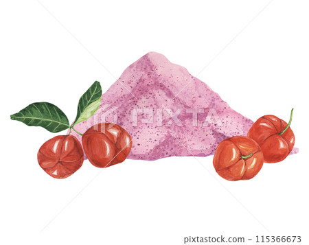 Acerola red cherries and pink powder exotic tropical fruits clipart with leaves. Smoothie wholesome ingredient watercolor illustration. Superfood vitamin C for print, packaging, label, food supplement Acerola red cherries and pink powder exotic tropical fruits clipart with leaves. Smoothie wholesome ingredient watercolor illustration. Superfood vitamin C for print, packaging, label, food supplement 115366673