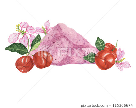 Acerola red cherries and pink powder exotic tropical fruits clipart with flowers. Smoothie wholesome ingredient watercolor illustration Superfood vitamin C for print, packaging, label, food supplement 115366674