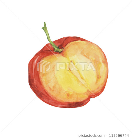 Acerola berry cut in half and slice, red Barbados cherry tropical fruit clipart. Malpighia emarginata glabra watercolor illustration. Superfood vitamin C for print, packaging, labels, food supplements 115366744