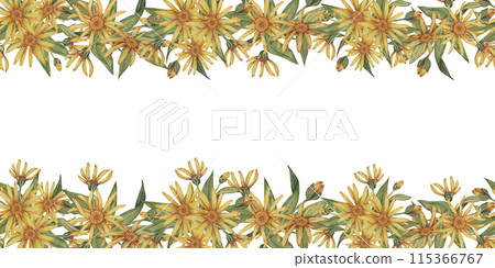 Yellow Arnica montana seamless border, blooming ribbon clipart. Watercolor wolfsbane flowers banner. Floral illustration for packaging, washi tape, labels, beauty, banner, cosmetics, herbal medicine 115366767